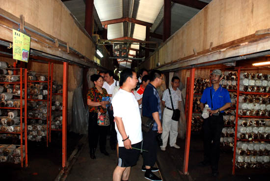 圖片關(guān)鍵詞 圖片關(guān)鍵詞