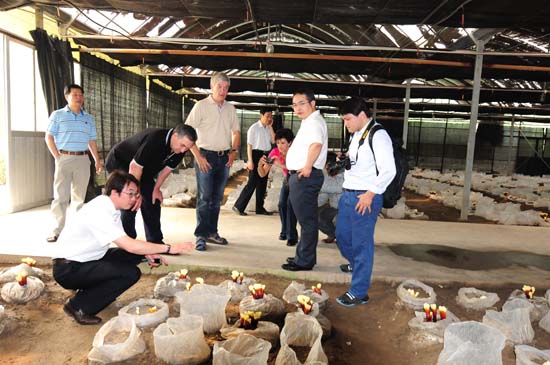 圖片關鍵詞 圖片關鍵詞