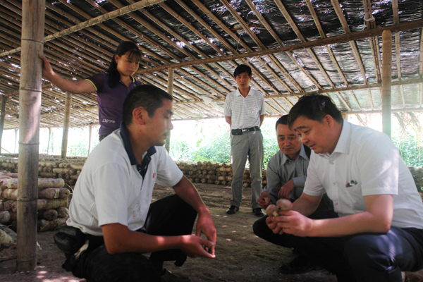 圖片關鍵詞 圖片關鍵詞