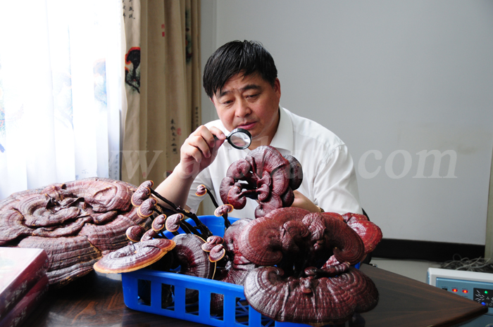 圖片關鍵詞 圖片關鍵詞