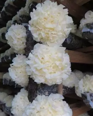 圖片關(guān)鍵詞 圖片關(guān)鍵詞