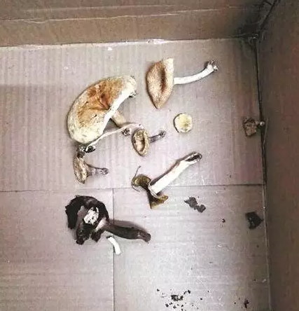 圖片關(guān)鍵詞 圖片關(guān)鍵詞