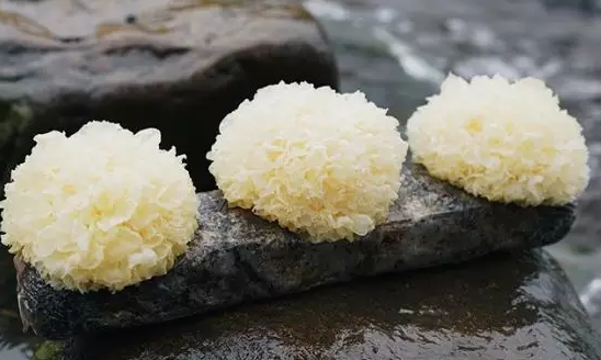 圖片關(guān)鍵詞 http://m.58hz.cn/ewebeditor/uploadfile/20180328092751720001.png