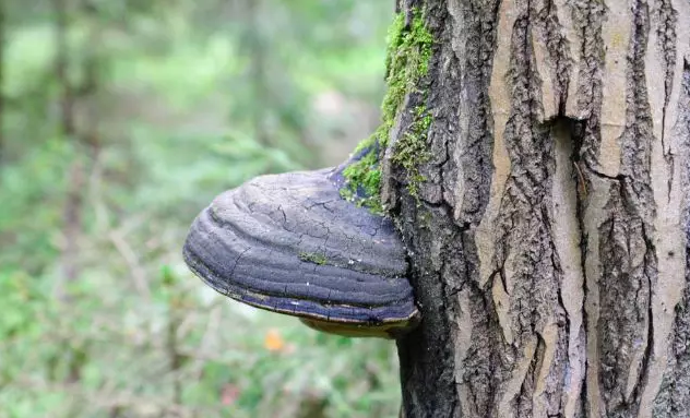 圖片關鍵詞 圖片關鍵詞