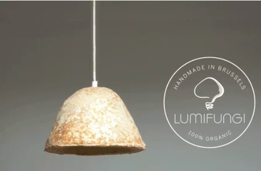 圖片關鍵詞 http://m.58hz.cn/ewebeditor/uploadfile/20180727085601461001.png