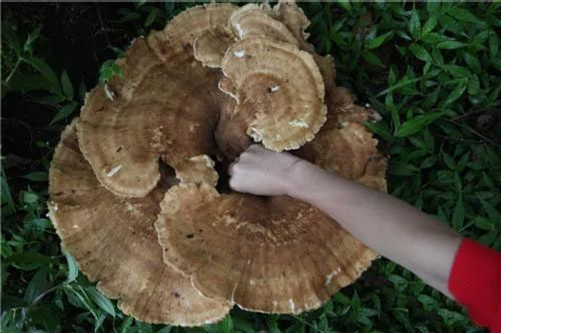 圖片關(guān)鍵詞 圖片關(guān)鍵詞