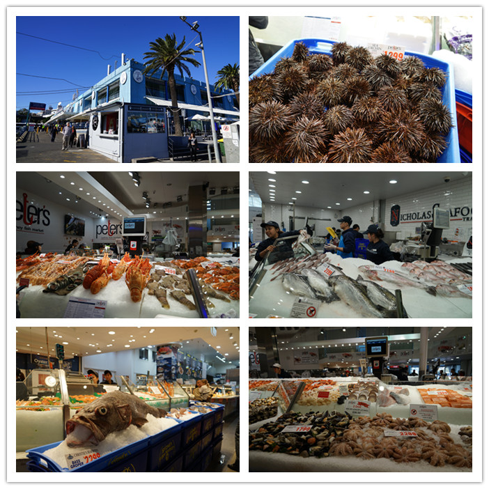 圖片關(guān)鍵詞 圖片關(guān)鍵詞