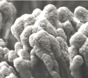 圖片關(guān)鍵詞 圖片關(guān)鍵詞