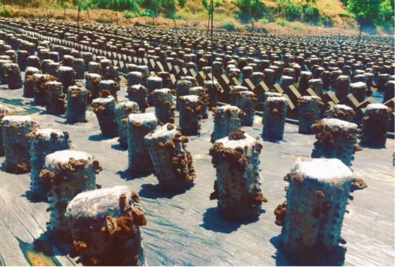 圖片關(guān)鍵詞 圖片關(guān)鍵詞