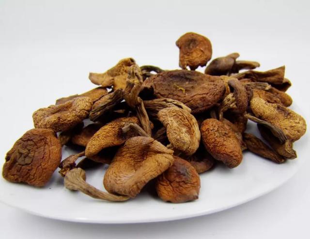 國(guó)家蘑菇地理：中國(guó)哪里的蘑菇最好吃？