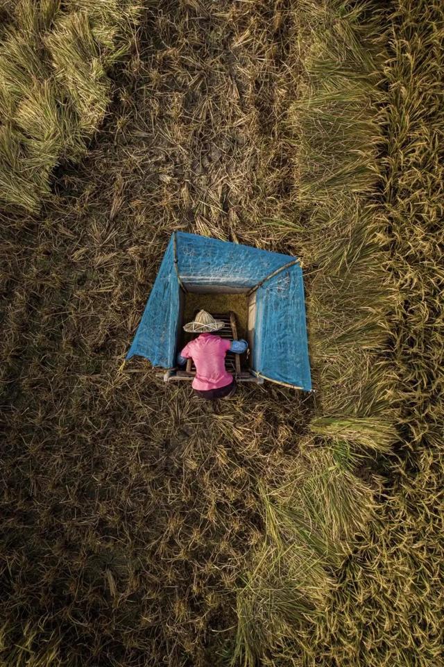 國(guó)家蘑菇地理：中國(guó)哪里的蘑菇最好吃？