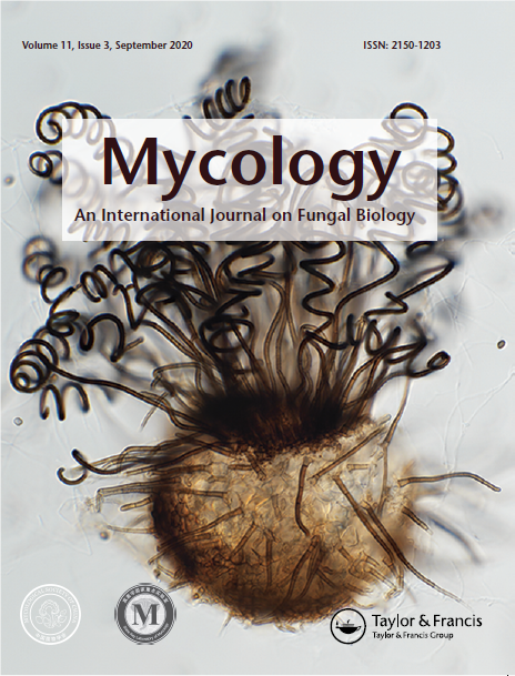 圖片關鍵詞 https://mmbiz.qpic.cn/sz_mmbiz_png/EuPGW1OAEEPyCgrUXIEjNacQhibI7M4RmMVnjFl3Msnu0YH9UicLRKxDj0b22XGCgCfGj26QIFlF3Kp9yg8Nto6Q/640?wx_fmt=png&tp=webp&wxfrom=5&wx_lazy=1&wx_co=1