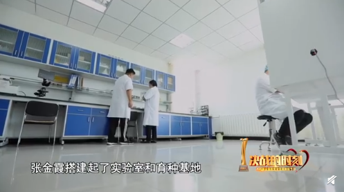 圖片關(guān)鍵詞 https://mmbiz.qpic.cn/mmbiz_png/EzTg6Bqtpm3iblCYHwA5wiacjsibsQCgmowhsbCuqhtlLvzhDheosleuMoerLQxdQNBScl9dMS9U3XPI6B3eWV6rQ/640?wx_fmt=png