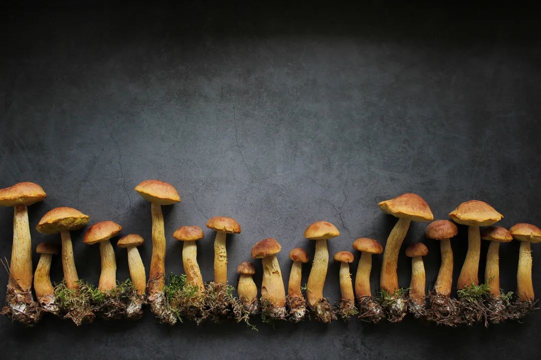 圖片關(guān)鍵詞 圖片