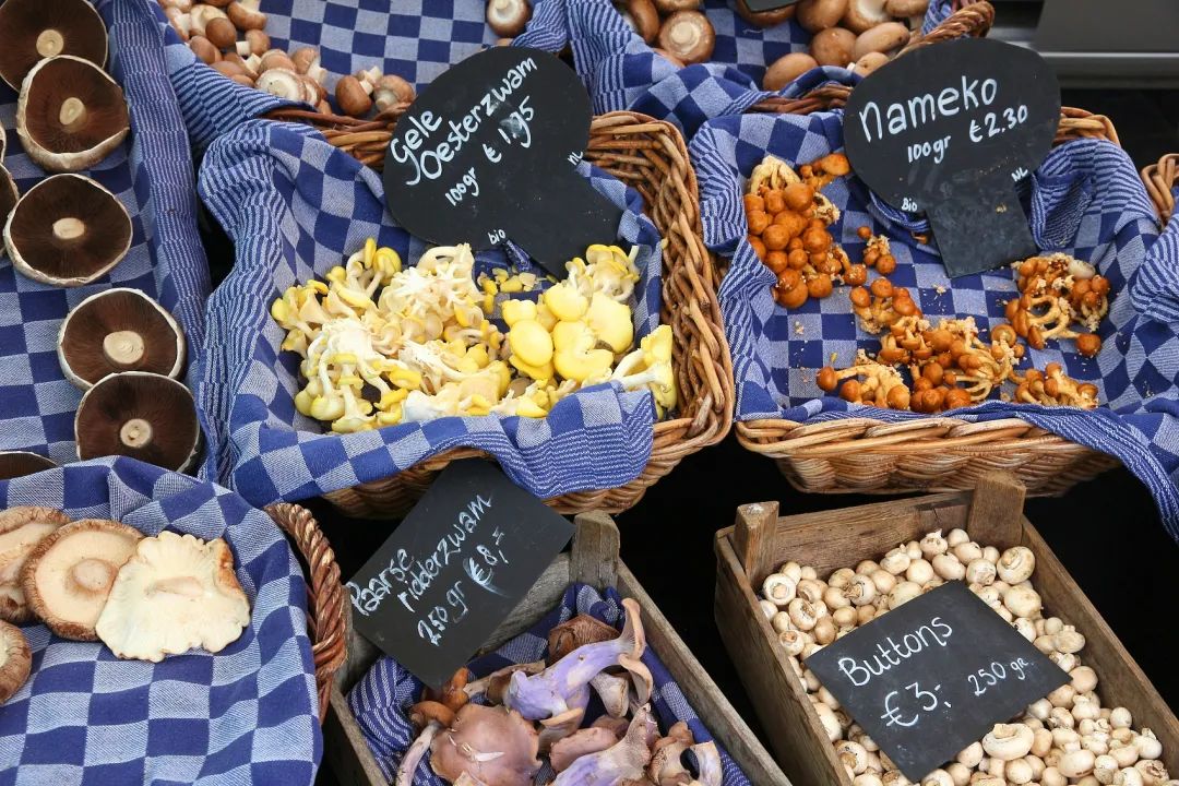 圖片關(guān)鍵詞 圖片