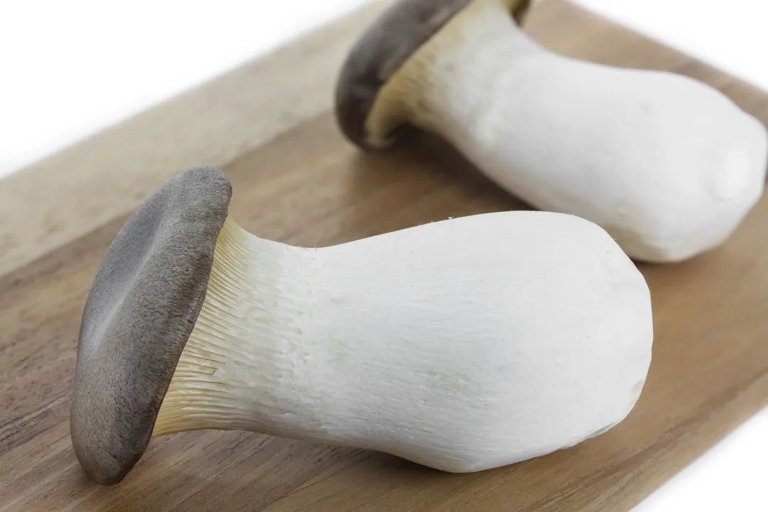 圖片關(guān)鍵詞 圖片