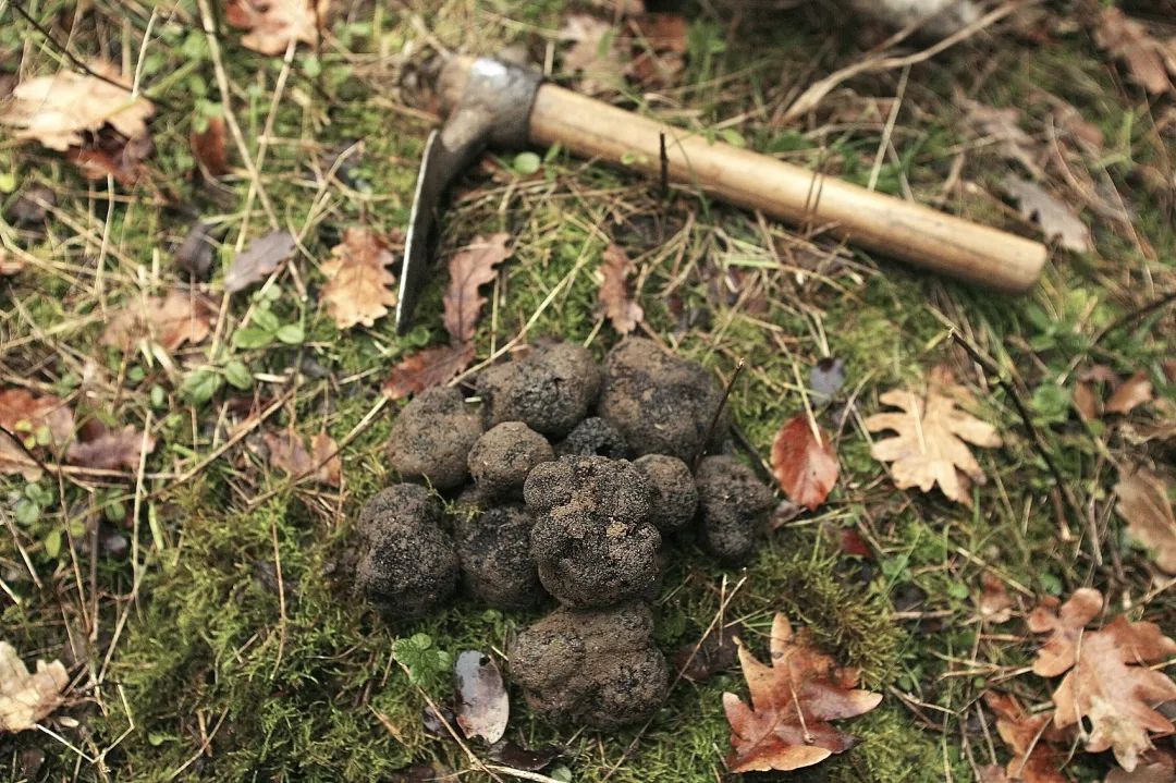 圖片關(guān)鍵詞 圖片