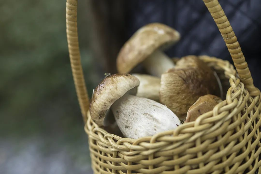 圖片關(guān)鍵詞 圖片