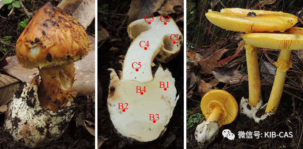 圖片關鍵詞 圖片