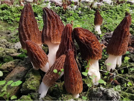 圖片關鍵詞 圖片