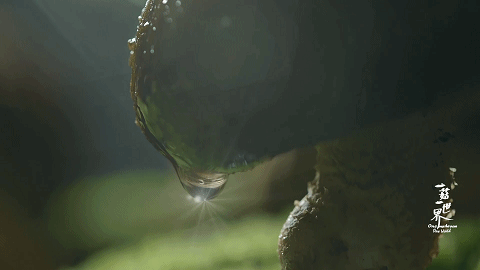 圖片關(guān)鍵詞 圖片