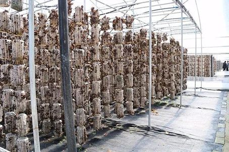 圖片關鍵詞 圖片關鍵詞