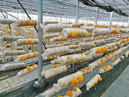 圖片關鍵詞 圖片關鍵詞