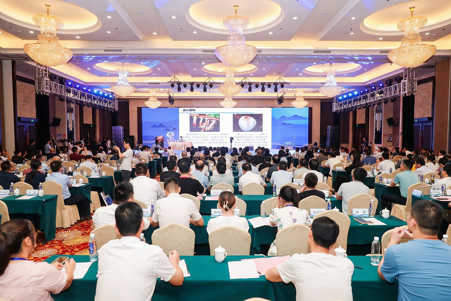 圖片關鍵詞 圖片關鍵詞