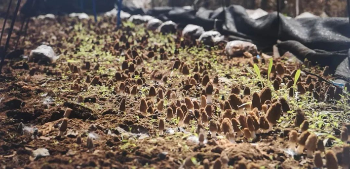 圖片關鍵詞 圖片關鍵詞