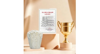 行業(yè)動(dòng)態(tài)